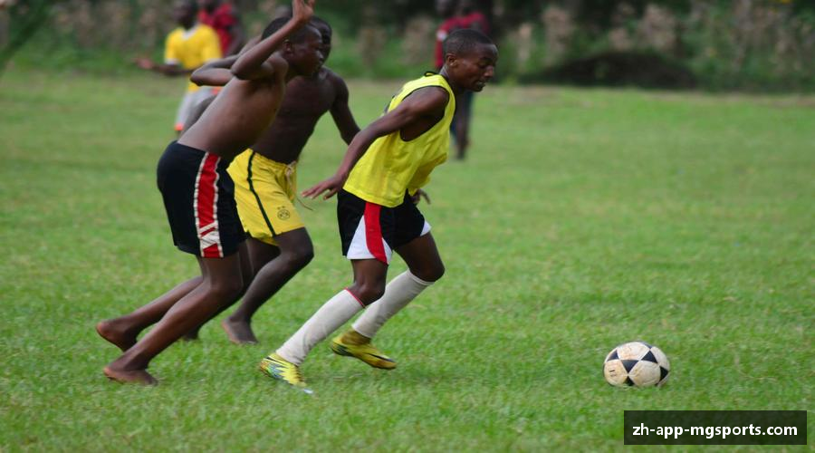 无畏向前，力争登顶